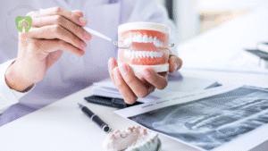 dental cleaning Westborough